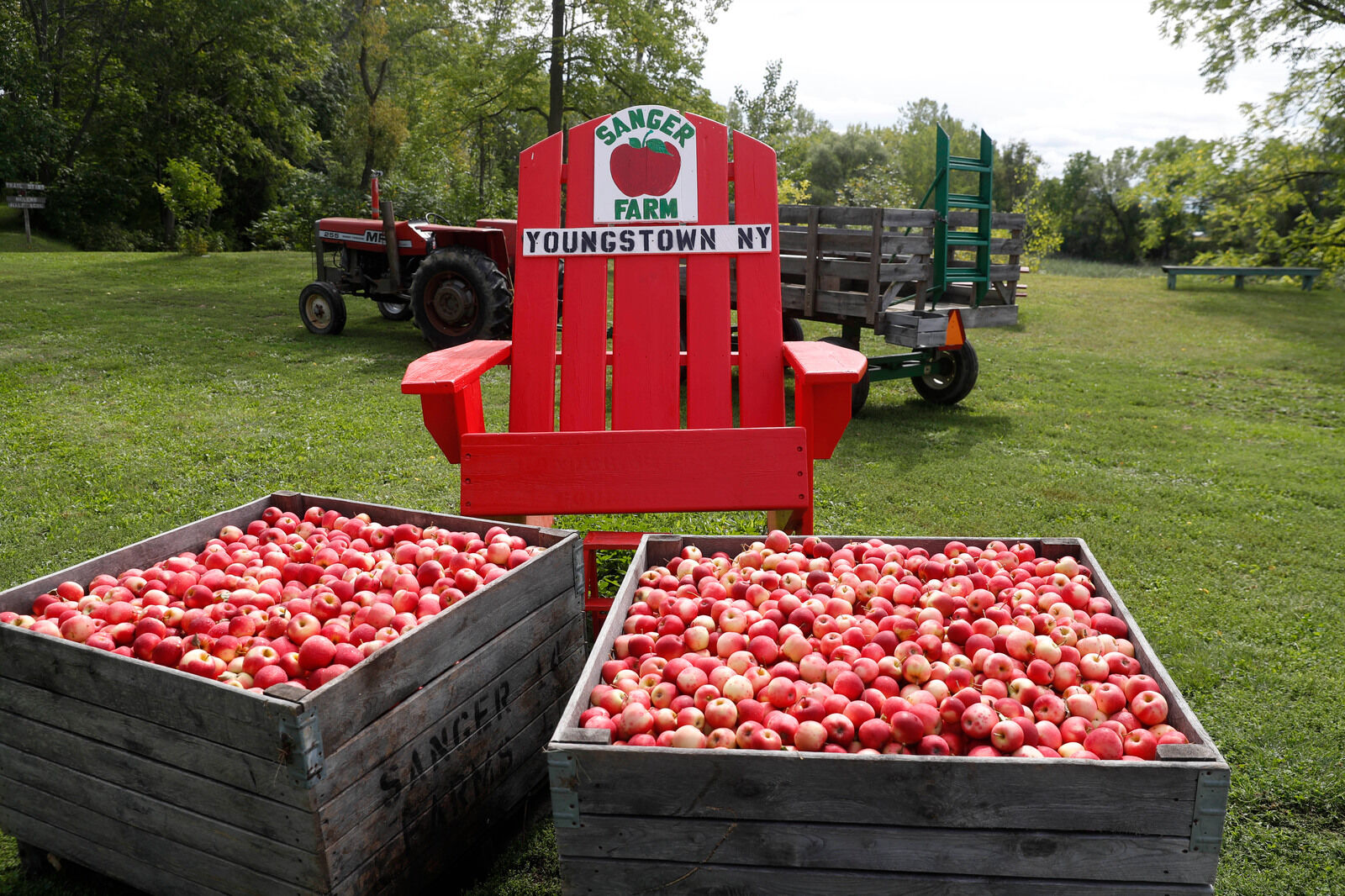 Totes of apples